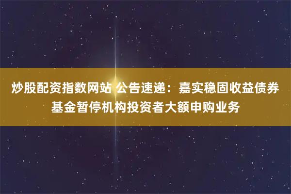 炒股配资指数网站 公告速递：嘉实稳固收益债券基金暂停机构投资者大额申购业务